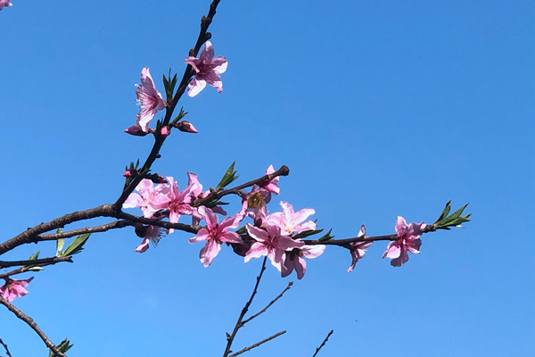 从树脂到母粒：LYB整合包装薄膜解决方案将亮相CHINAPLAS 2026