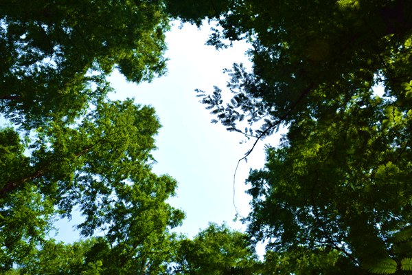 【HUSKY小课堂】一键自清洁！模具维护降本增效新解法