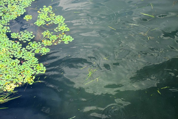 县域快递物流中心建设被纳入河北2026年民生工程