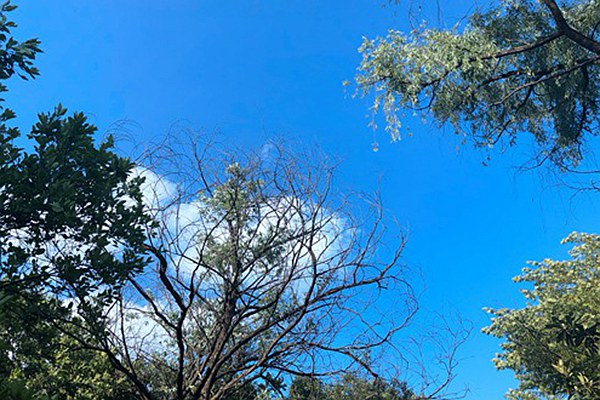 广东省政府党组成员专题听取省行业助力“百千万工程”工作汇报