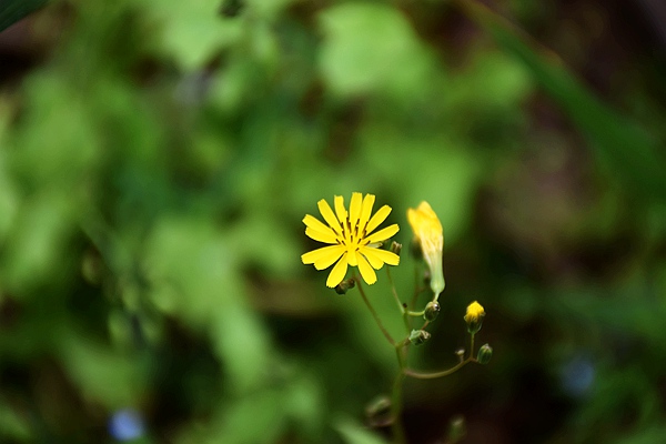 国家邮政局举办2026年第1期“新时代强邮讲堂”
