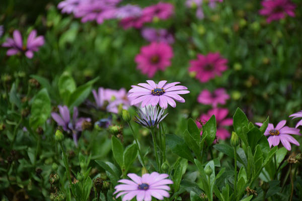 浙江省委一号文件发布 行业发展添动力