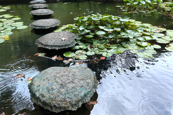 河北各市局深入推进树立和践行正确政绩观学习教育