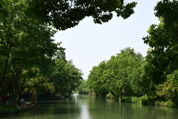 黑龙江局举行树立和践行正确政绩观学习教育专题党课