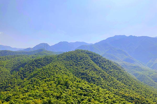 东营低空经济发展工作方案印发行业发展添动力